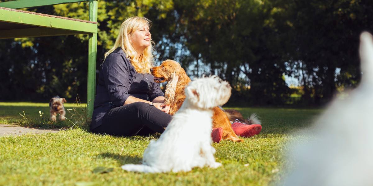 A woman sits on grass in a sunlit park, surrounded by small dogs. She looks content and relaxed. Green trees in the background create a peaceful scene.